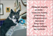 Хозяюшке44